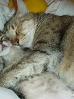 Other Wallpapers 0548